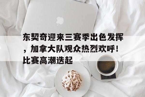 开云官网-东契奇迎来三赛季出色发挥，加拿大队观众热烈欢呼！比赛高潮迭起(jojo奇妙冒险第三季全集)